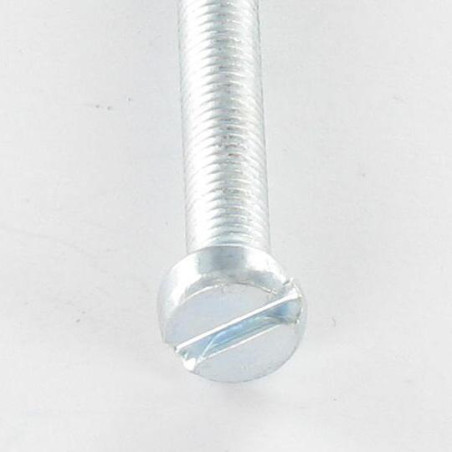 1 x Vis métaux Tête cylindrique TC Fendue M4X6 Acier zingué