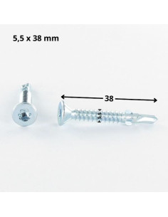 Vis autoperceuse Tête fraisée TORX T25 5.5X38 Crantée et... 2