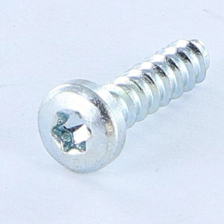 1 x Vis pvc TRILOBE Tête cylindrique bombée TCB TORX T15 4X16 Filet 45 Acier zingué