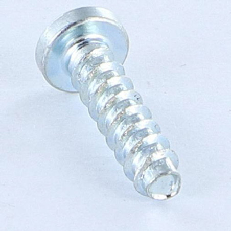 1 x Vis pvc TRILOBE Tête cylindrique bombée TCB TORX T15 4X16 Filet 45 Acier zingué