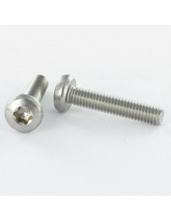 Vis métaux tête cylindrique bombée large M4X8 TORX T20 Acier zingué