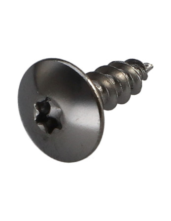 Vis Penture 5X16 Filetage total TORX T20 Acier chrome