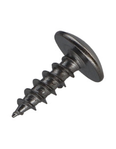 Vis Penture 5X16 Filetage total TORX T20 Acier chrome 2