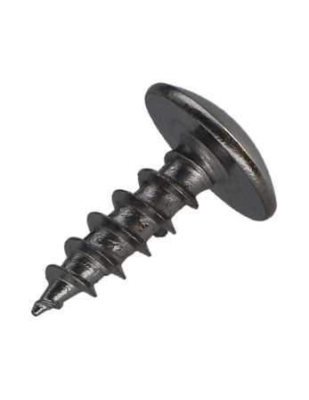 Vis Penture 5X16 Filetage total TORX T20 Acier chrome