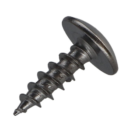1 x Vis Penture 5X16 Filetage total TORX T20 Acier chrome
