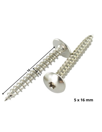 Vis Penture 5X16 Filetage total TORX T20 Acier chrome