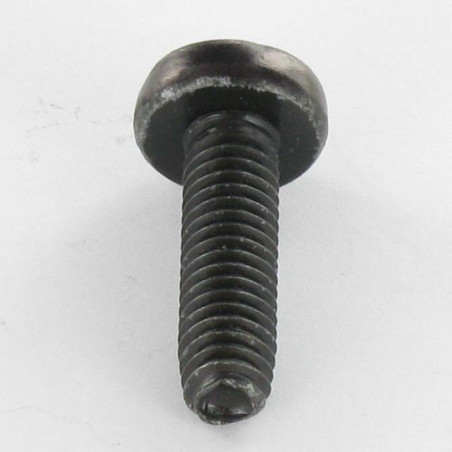 1 x Vis autotaraudeuse tête cylindrique bombée large M6X20 Pozi N°3 Acier zingué noir