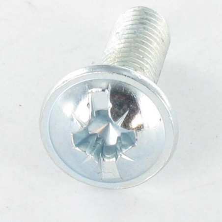 1 x Vis Poelier POZI et fendu M6X15 Acier zingué