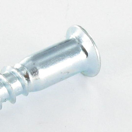 1 x Vis d'assemblage confirmat Tête fraisée Hexagonal creux 5X50 SS Cranté Acier zingué