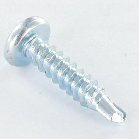 1 x Vis autoperceuse Tête cylindrique bombée TCB 4.2X13 TORX T20 Acier zingué