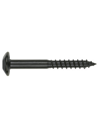 Vis Penture Inviolable 2 pièces TORX T40 6X60 Acier zingué noir