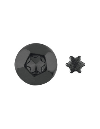 Vis Penture Inviolable 2 pièces TORX T40 6X60 Acier zingué noir
