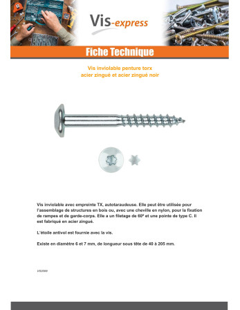 Vis Penture Inviolable 2 pièces TORX T40 6X60 Acier zingué noir