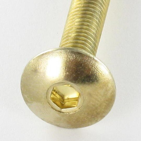 1 x Vis Poelier M6X55 Clé de 4 HC4 Acier laitonne