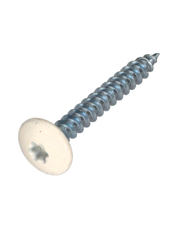 Vis Penture 6X35 Filetage partiel TORX T30 Acier zingué Laqué blanc RAL9010 blanc pur