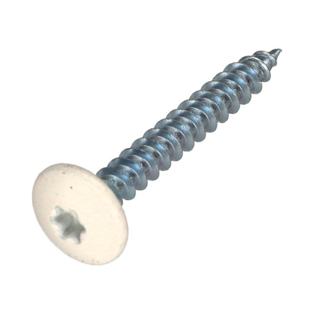 1 x Vis Penture 6X35 Filetage partiel TORX T30 Acier zingué Laqué blanc RAL9010 blanc pur