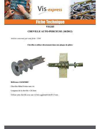 Cheville métallique Vis autoperceuse RAWLPLUG 13X31 Avec Vis