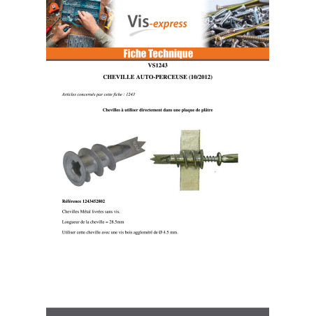 1 x Cheville métallique Vis autoperceuse RAWLPLUG 13X31 Avec Vis