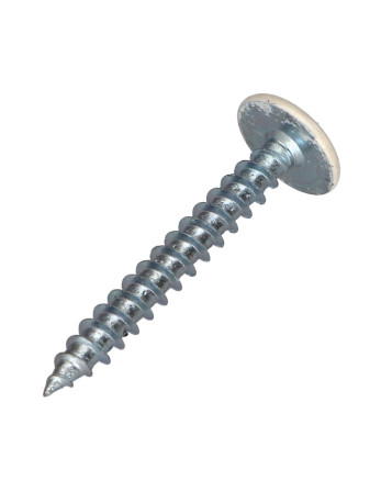 Vis Penture 6X35 Filetage partiel TORX T30 Acier zingué Laqué blanc RAL9010 blanc pur