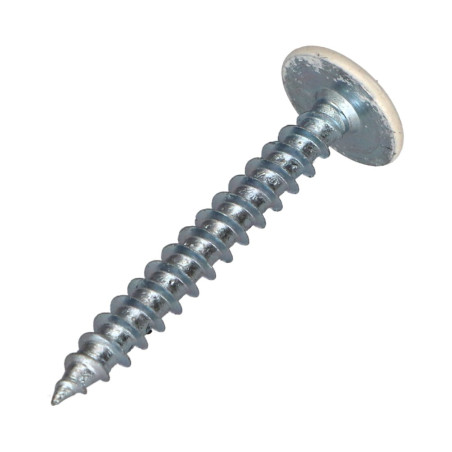 1 x Vis Penture 6X35 Filetage partiel TORX T30 Acier zingué Laqué blanc RAL9010 blanc pur