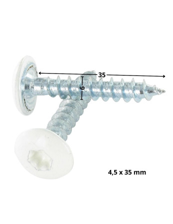 Vis Penture 6X35 Filetage partiel TORX T30 Acier zingué Laqué blanc RAL9010 blanc pur