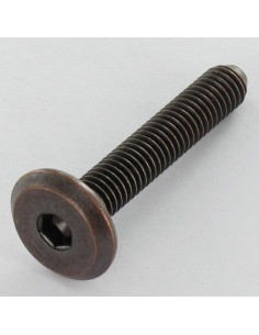 Vis métaux tête plate Clé de 5 HC5 M8X20 acier bronze