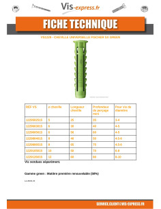 Cheville Fischer SX GREEN 12X60 2