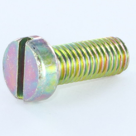 1 x Vis métaux Tête cylindrique TC Fendue M6X40 Bichromaté