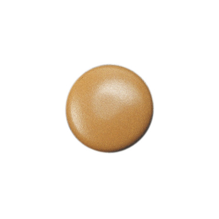 1 x Cache tête de vis TORX T30 Diamètre de tête: 17 Polyéthylène Marron CLAI