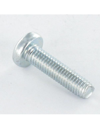 Vis autotaraudeuse tête cylindrique bombée large M5X12 TORX T25 Acier zingué