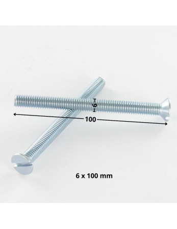 Vis métaux Tête fraisée Fendue M6X100 Acier zingué
