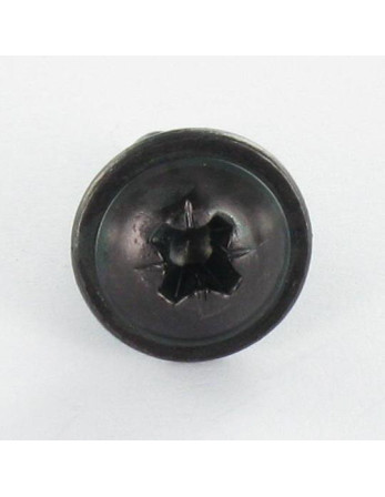 Vis tôle Poelier Pozi 4.8X13 Acier zingué noir Sans pointe