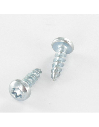 VBA3 Tête ronde TR TORX 5X40 TORX T20 Acier zingué