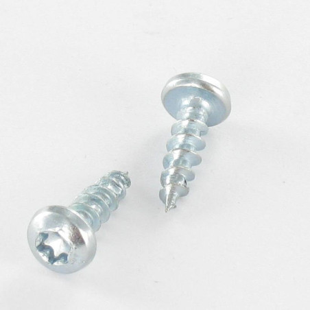 1 x VBA3 Tête ronde TR TORX 5X40 TORX T20 Acier zingué