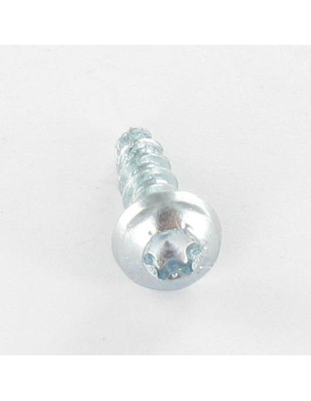 VBA3 Tête ronde TR TORX 5X40 TORX T20 Acier zingué