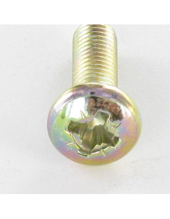Vis métaux tête cylindrique bombée large Pozi N°2 M5X22 Bichromaté