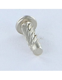 Rivet SIM ou fausse vis à frapper Type U Tête ronde TR... 2