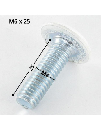 Vis métaux tête plate Clé de 4 HC4 M6X25 Acier zingué Tête RAL9010 blanc pur