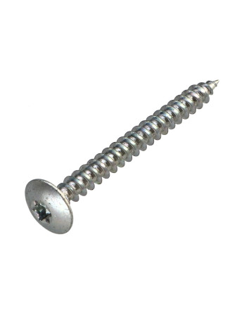Vis Penture 6X60 Filetage partiel TORX T30 Diamètre de tête: 14 Acier zingué 96 heures brouillard salin sans