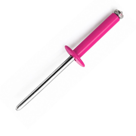 1 x Rivet aveugle éclate GOSTAR Aluminium Tige acier Tête Ronde Standard 4X16 RAL4010 rose telemagenta