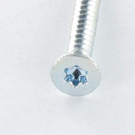 1 x Vis autoperceuse Tête fraisée TORX T25 4.8X80 Acier zingué