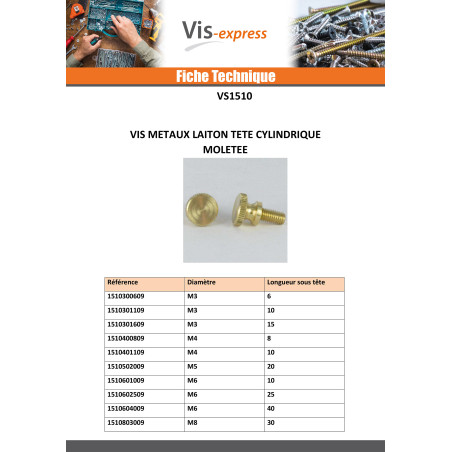 1 x Vis métaux Laiton Tête cylindrique TC Moletée M6X25