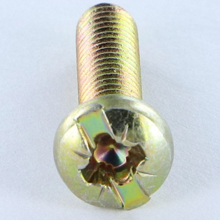 1 x Vis métaux Tête cylindrique bombée TCB POZI et fendu M4X16 Diamètre de tête: 7 Bichromaté