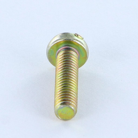1 x Vis métaux Tête cylindrique bombée TCB POZI et fendu M4X16 Diamètre de tête: 7 Bichromaté