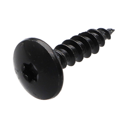 1 x Vis Penture 7X40 Filetage total TORX T30 Acier zingué noir