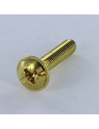 Vis Poelier POZI et fendu M6X14 Acier laitonne