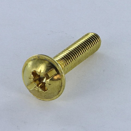 1 x Vis Poelier POZI et fendu M6X14 Acier laitonne