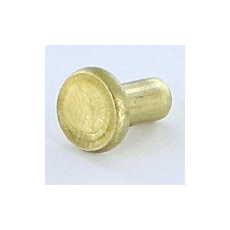 1 x Rivet à frapper Tête plate 3X5.5 Diamètre de tête: 5.5 EP1.3 Laiton