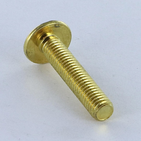 1 x Vis Poelier POZI et fendu M6X14 Acier laitonne