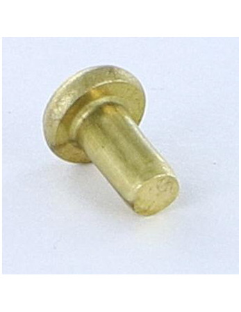 Rivet à frapper Tête plate 3X5.5 Diamètre de tête: 5.5 EP1.3 Laiton